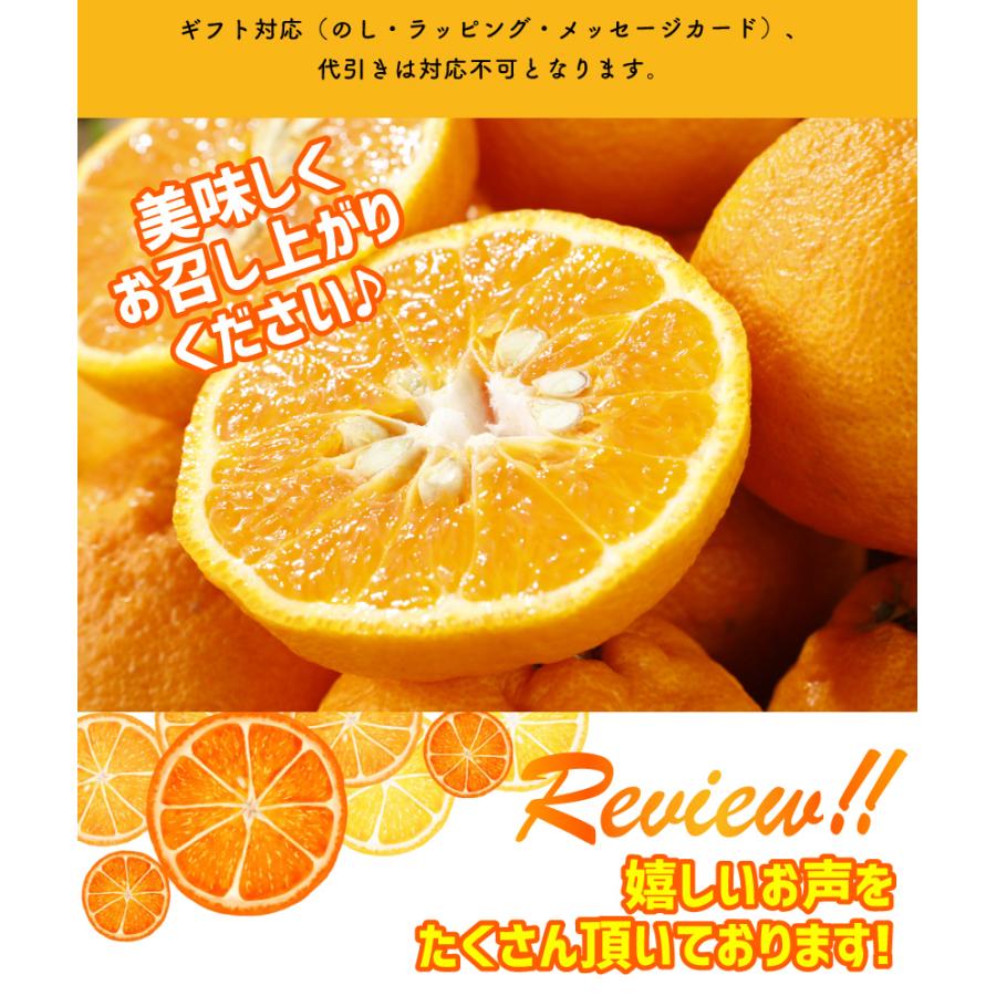 2027年3月分予約 最高糖度15度 訳あり 愛媛 減農薬 デコポン 小玉 約