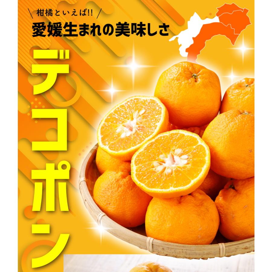 2025年3月分予約 最高糖度15度 訳あり 愛媛 減農薬 デコポン 小玉 約3kg C品 サイズ混合 産地直送 大三島 でこぽん NN｜808｜02