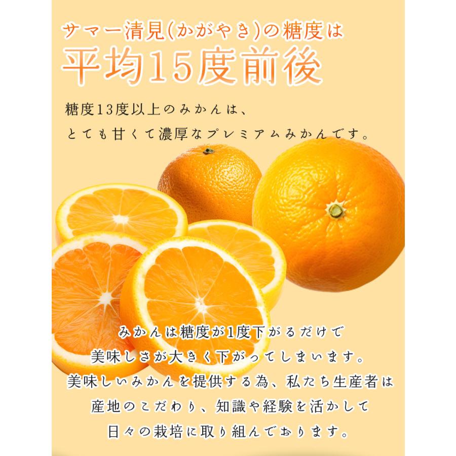 2027年3月分予約 糖度15度 愛媛 減農薬 かがやき 贈答用 3kg~10kg