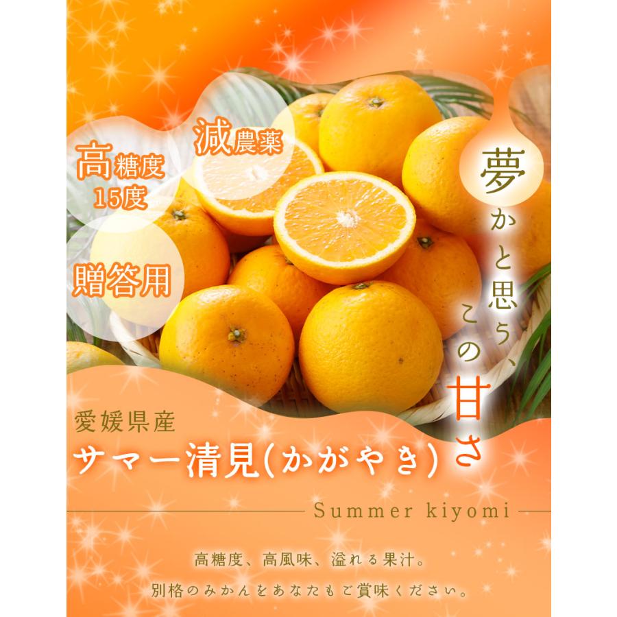 2026年3月分予約 糖度15度 愛媛産 減農薬 かがやき 贈答用 約10kg サイズ混合 清見 オレンジ サマー 星 タンゴール つのかがやき ( 津之輝 津の輝 )と別品種 み |  | 01