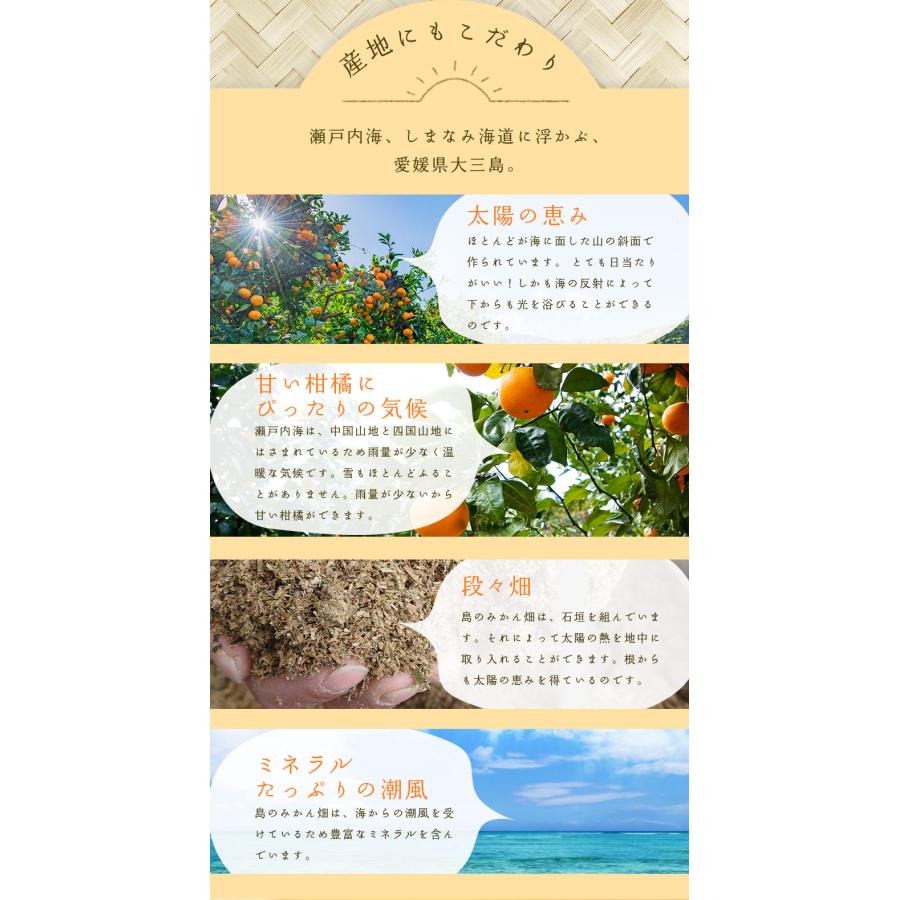 2026年3月分予約 糖度15度 愛媛産 減農薬 かがやき 贈答用 約10kg サイズ混合 清見 オレンジ サマー 星 タンゴール つのかがやき ( 津之輝 津の輝 )と別品種 み |  | 07