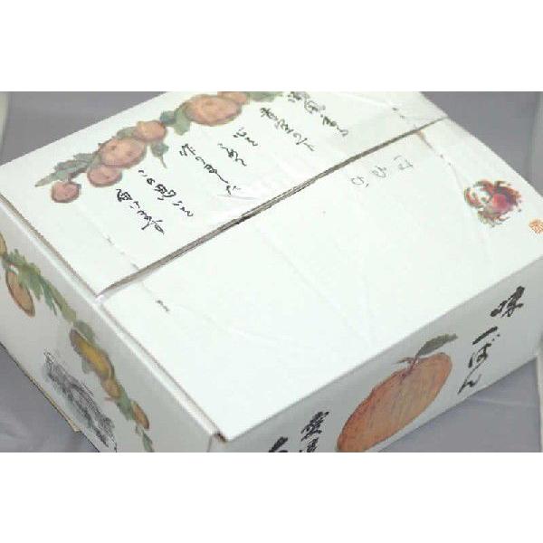 2026年3月分予約 減農薬 愛媛 せとか みかん 約5kg 贈答用 サイズ混合 産地直送 ore 大三島 * ふるさと納税 ではありません |  | 02