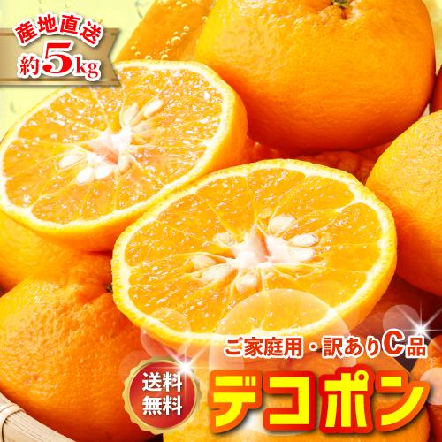 2027年3月分予約 最高糖度15度 訳あり 愛媛 減農薬 デコポン 小玉 約3