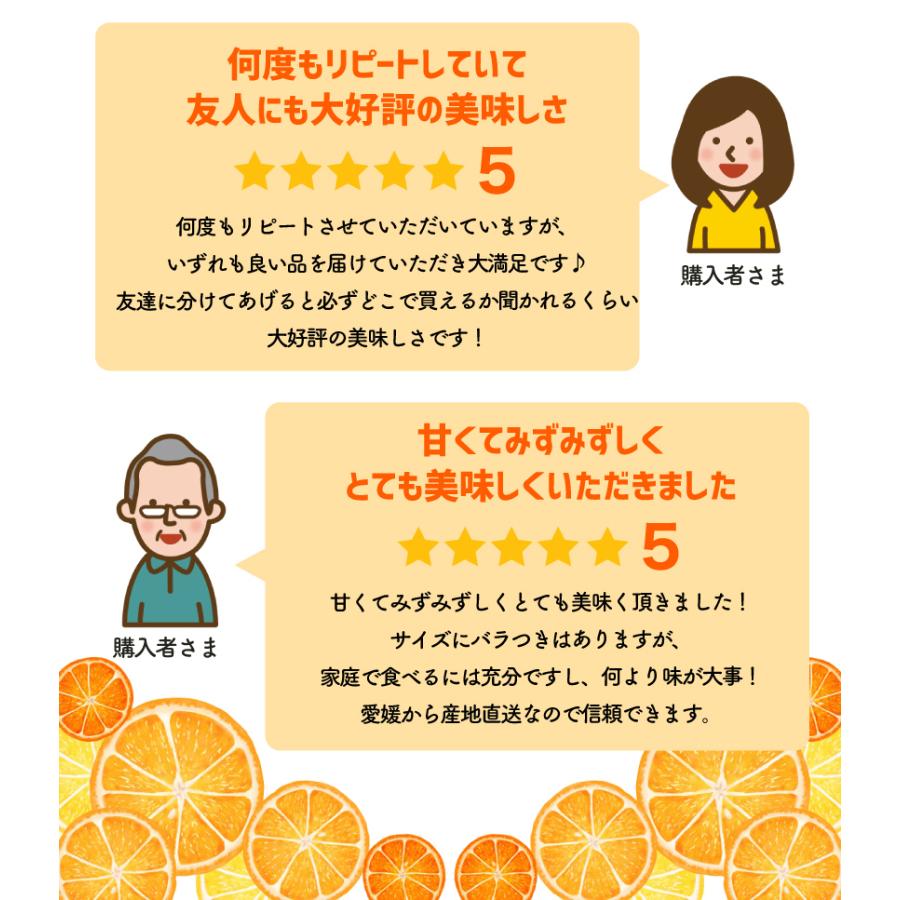 2027年3月分予約 最高糖度15度 訳あり 愛媛 減農薬 デコポン 小玉 約