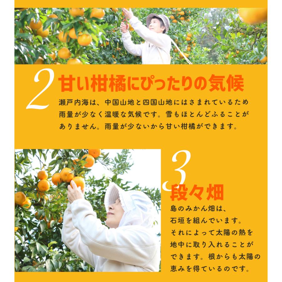 2027年3月分予約 最高糖度15度 訳あり 愛媛 減農薬 デコポン 小玉 約