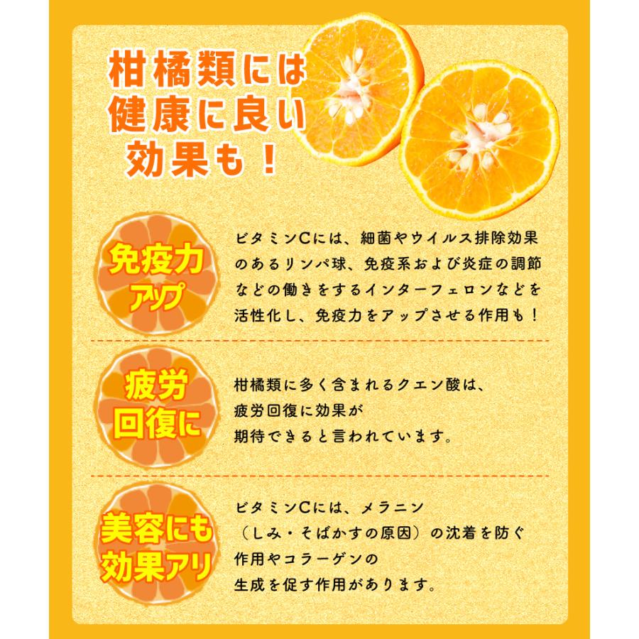 2027年3月分予約 最高糖度15度 訳あり 愛媛 減農薬 デコポン 小玉 約