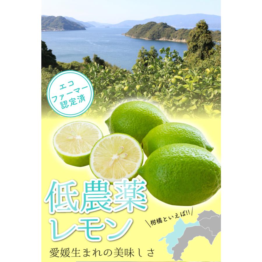 アウトレット品 低農薬 国産 レモン 大三島 3kg 瀬戸内 愛媛 訳あり ore みかん、柑橘類 