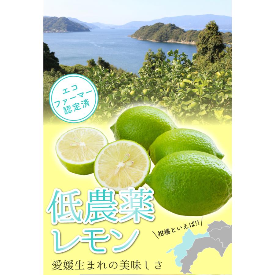訳あり 国産 無農薬 レモン 3kg～10kg 愛媛 大三島 又は 広島 瀬戸内