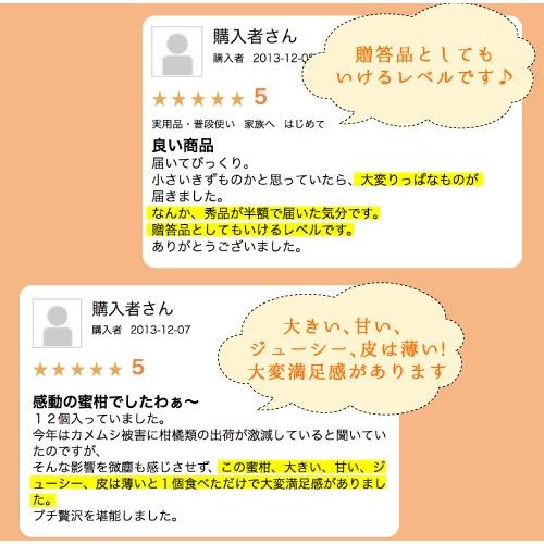 12月分予約 訳あり 減農薬 紅まどんな と同品種 みかん あいか 約3~10kg C品 サイズ混合 愛媛 産地直送 大三島 お歳暮 ギフト * ふるさと納税 ではありません |  | 10