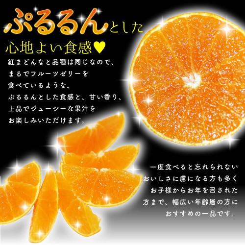 12月分予約 訳あり 減農薬 紅まどんな と同品種 みかん あいか 約3~10kg C品 サイズ混合 愛媛 産地直送 大三島 お歳暮 ギフト * ふるさと納税 ではありません |  | 03
