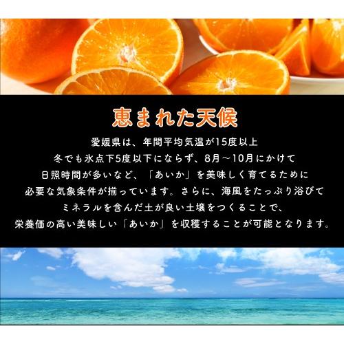 12月分予約 訳あり 減農薬 紅まどんな と同品種 みかん あいか 約3~10kg C品 サイズ混合 愛媛 産地直送 大三島 お歳暮 ギフト * ふるさと納税 ではありません |  | 06