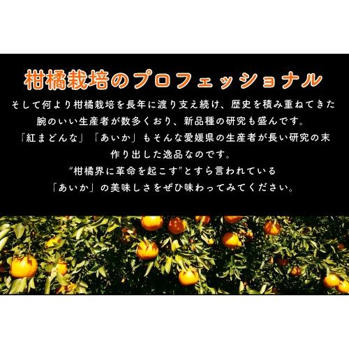 12月分予約 訳あり 減農薬 紅まどんな と同品種 みかん あいか 約3~10kg C品 サイズ混合 愛媛 産地直送 大三島 お歳暮 ギフト * ふるさと納税 ではありません |  | 07