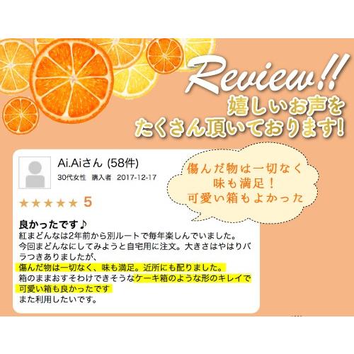 12月分予約 訳あり 減農薬 紅まどんな と同品種 みかん あいか 約3~10kg C品 サイズ混合 愛媛 産地直送 大三島 お歳暮 ギフト * ふるさと納税 ではありません |  | 09