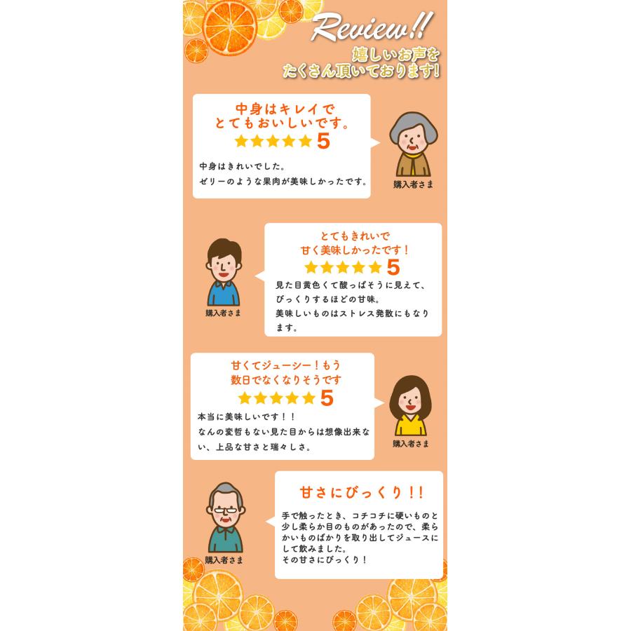 2026年3月分予約 最高糖度15度 愛媛産 減農薬 はるか 約3kg 贈答用 みかん 産地直送 ore 大三島 日向夏 ニューサマーオレンジ * ふるさと納税 ではありません |  | 10