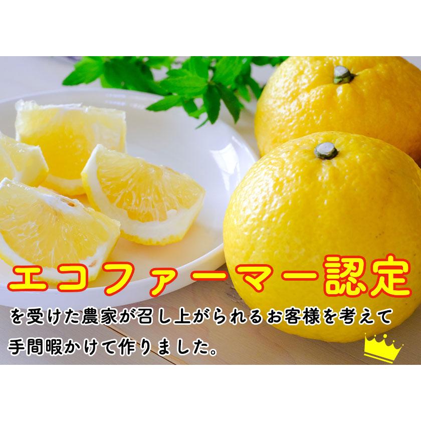 2026年3月分予約 最高糖度15度 愛媛産 減農薬 はるか 約3kg 贈答用 みかん 産地直送 ore 大三島 日向夏 ニューサマーオレンジ * ふるさと納税 ではありません |  | 04
