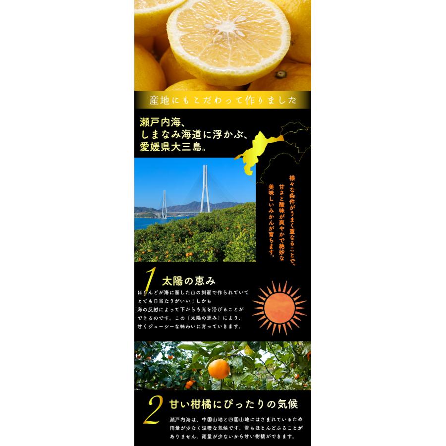2026年3月分予約 最高糖度15度 愛媛産 減農薬 はるか 約3kg 贈答用 みかん 産地直送 ore 大三島 日向夏 ニューサマーオレンジ * ふるさと納税 ではありません |  | 06