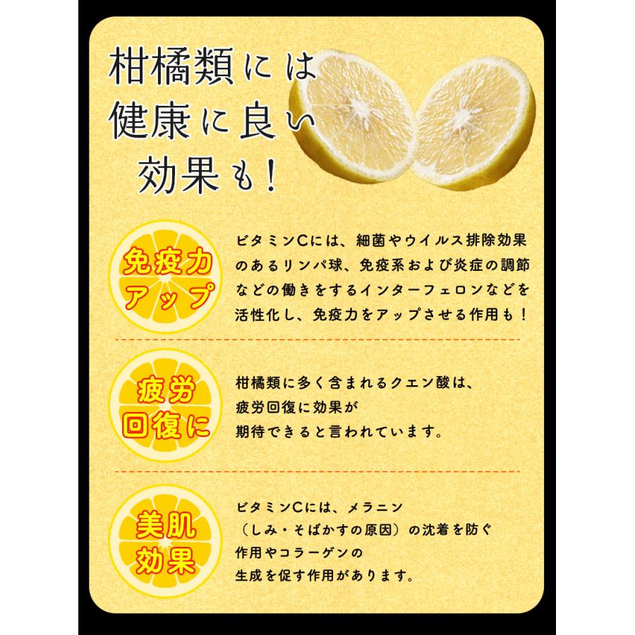 2026年3月分予約 最高糖度15度 愛媛産 減農薬 はるか 約3kg 贈答用 みかん 産地直送 ore 大三島 日向夏 ニューサマーオレンジ * ふるさと納税 ではありません |  | 08