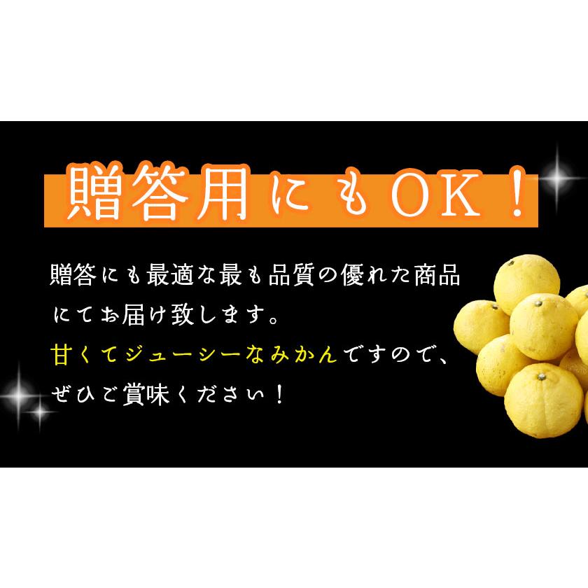 2026年3月分予約 最高糖度15度 愛媛産 減農薬 はるか 約3kg 贈答用 みかん 産地直送 ore 大三島 日向夏 ニューサマーオレンジ * ふるさと納税 ではありません |  | 09