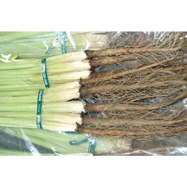 大阪府 八尾 産 若ごぼう 葉ごぼう １束 はちまるはち 通販 Yahoo ショッピング