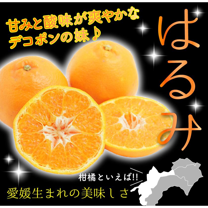 糖度15度前後 訳あり 低農薬 愛媛 はるみ みかん 約3kg~10kg サイズ