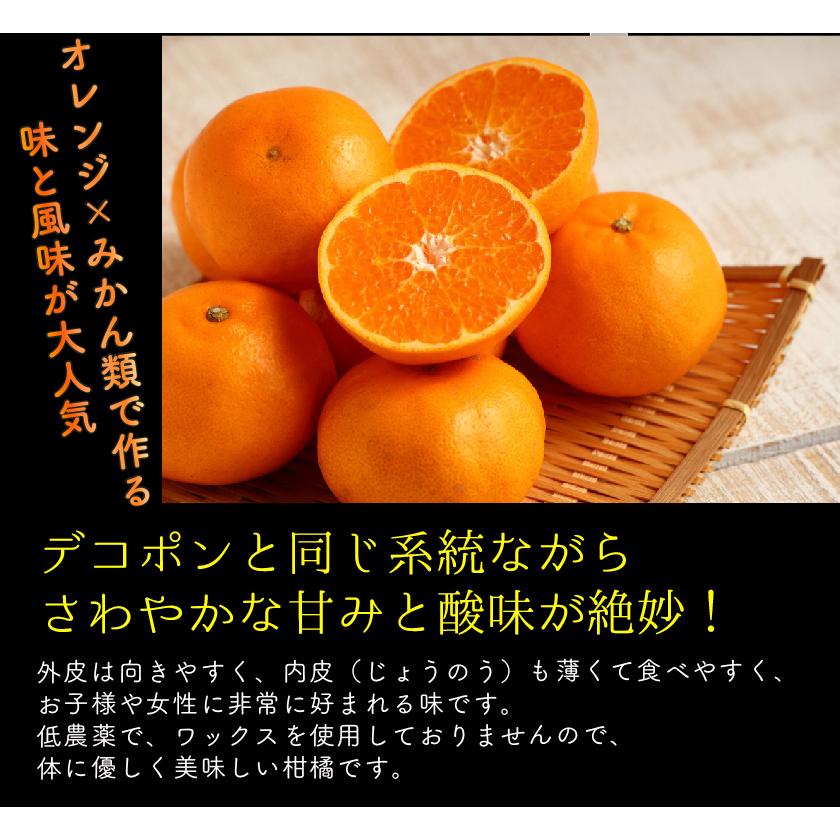 糖度15度前後 訳あり 低農薬 愛媛 はるみ みかん 約3kg~10kg サイズ