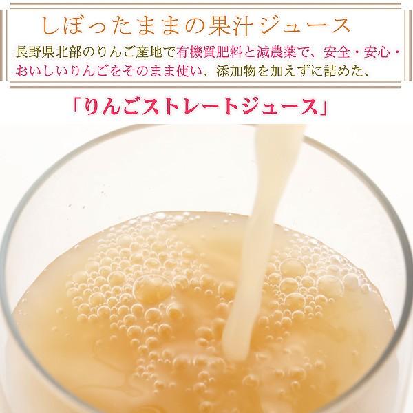 減農薬 100% 無添加 りんごジュース 1000ml ×6本 ストレート 長野