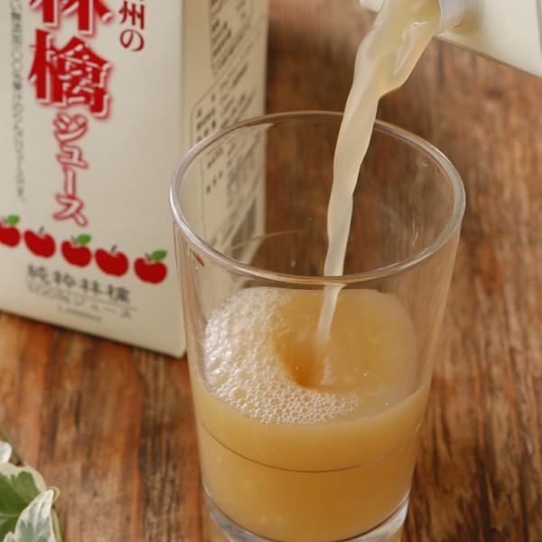 減農薬 100% 無添加 りんごジュース 1000ml ×12本 ストレート 長野