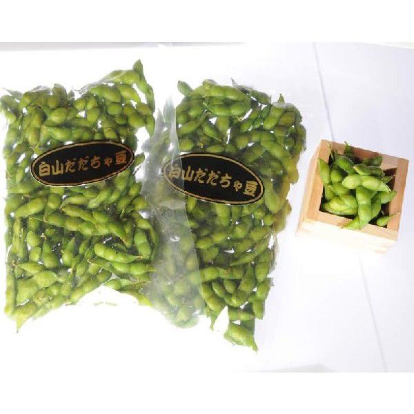 2027年8月分予約 山形県鶴岡産 生 だだちゃ豆 1kg 500g×2  贈答用 枝豆 えだ豆 えだまめ 産地直送 * ふるさと納税 ではありません |  | 01
