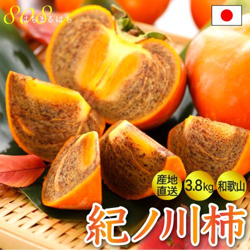 2026年10月分予約 全額返金保証 低農薬 和歌山 紀ノ川柿 約3.8kg 12~15玉入 訳あり 紀の川柿 産地直送 10j * ふるさと納税 ではありません