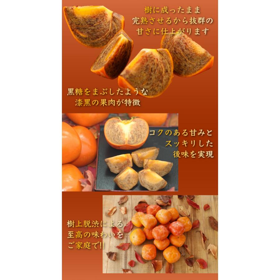 2026年10月分予約 全額返金保証 低農薬 和歌山 紀ノ川柿 約3.8kg 12~15玉入 青秀 紀の川柿 産地直送 10j * ふるさと納税 ではありません_4