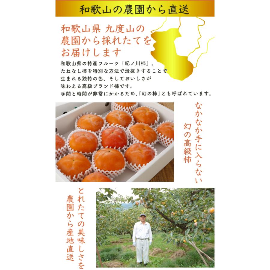2026年10月分予約 全額返金保証 低農薬 和歌山 紀ノ川柿 約3.8kg 12~15玉入 青秀 紀の川柿 産地直送 10j * ふるさと納税 ではありません_5