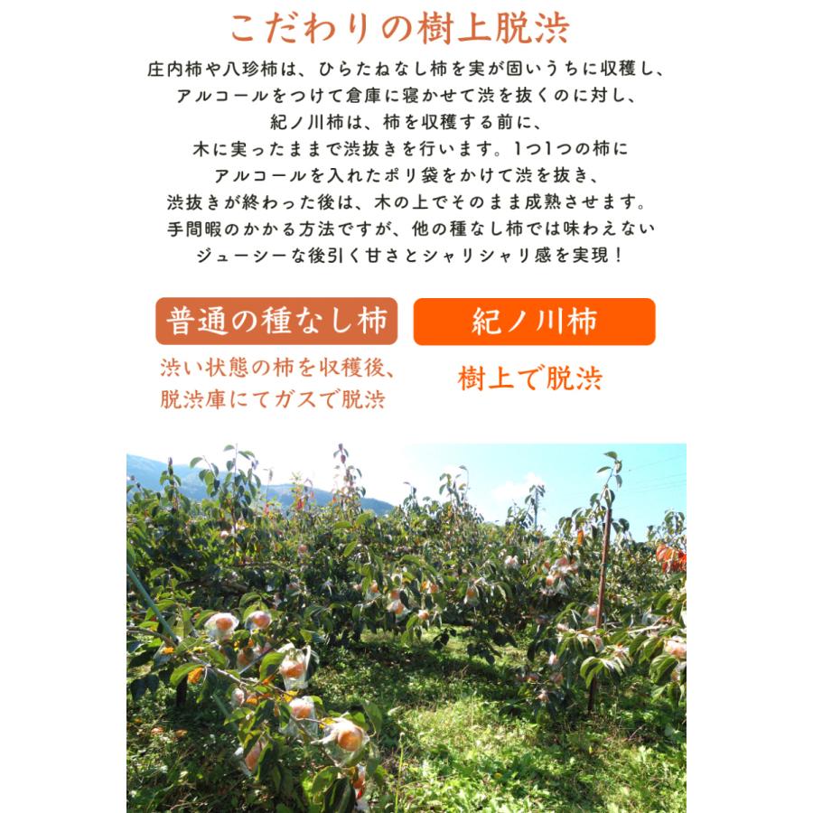 2026年10月分予約 全額返金保証 低農薬 和歌山 紀ノ川柿 約3.8kg 12~15玉入 青秀 紀の川柿 産地直送 10j * ふるさと納税 ではありません_7