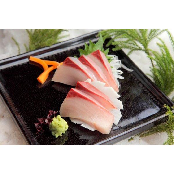 鹿児島産 ぶり 1尾 4kg前後 ブリ 産地直送 * ふるさと納税 ではありません |  | 01