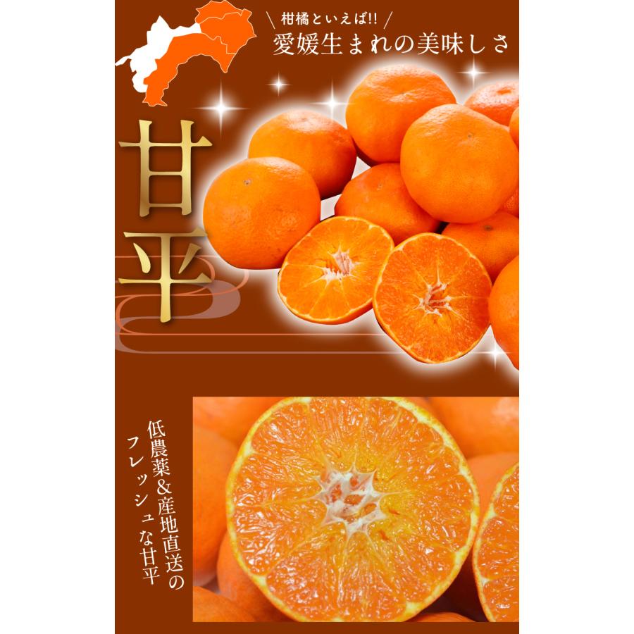 2027年2月分予約 糖度15度 訳あり 減農薬 甘平 みかん 約5kg 愛媛