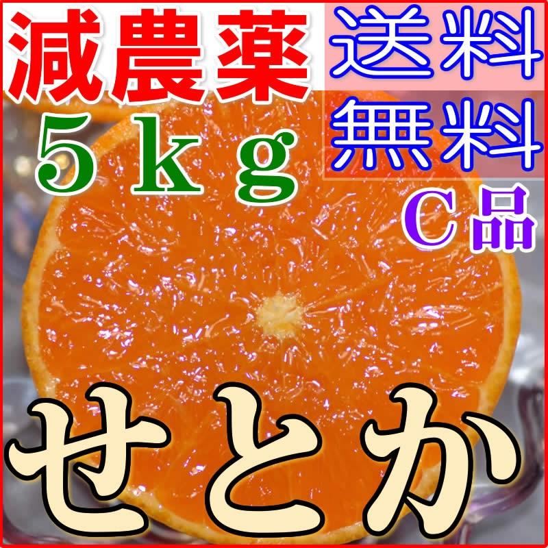 2027年3月分予約 訳あり 減農薬 愛媛 せとか みかん 約5kg C品 サイズ