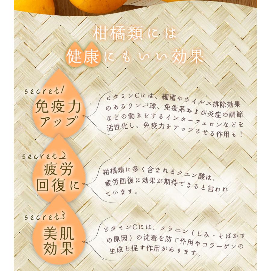 2026年3月分予約 糖度15度 訳あり 愛媛産 減農薬 かがやき 小玉サイズ 約10kg 清見 オレンジ サマー 星 タンゴール つのかがやき ( 津之輝 津の輝 )と別品種 み |  | 05