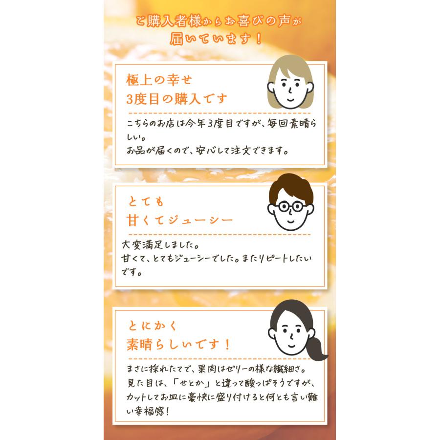 2026年3月分予約 糖度15度 訳あり 愛媛産 減農薬 かがやき 小玉サイズ 約10kg 清見 オレンジ サマー 星 タンゴール つのかがやき ( 津之輝 津の輝 )と別品種 み |  | 07