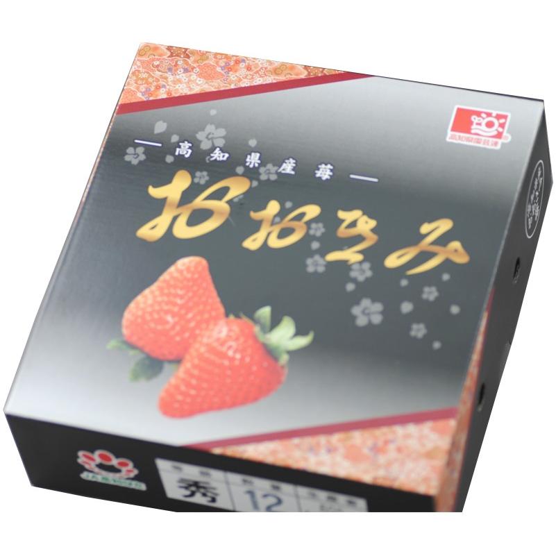 高知産 おおきみ 苺 大粒9〜15粒 約500g 化粧箱入 いちご イチゴ
