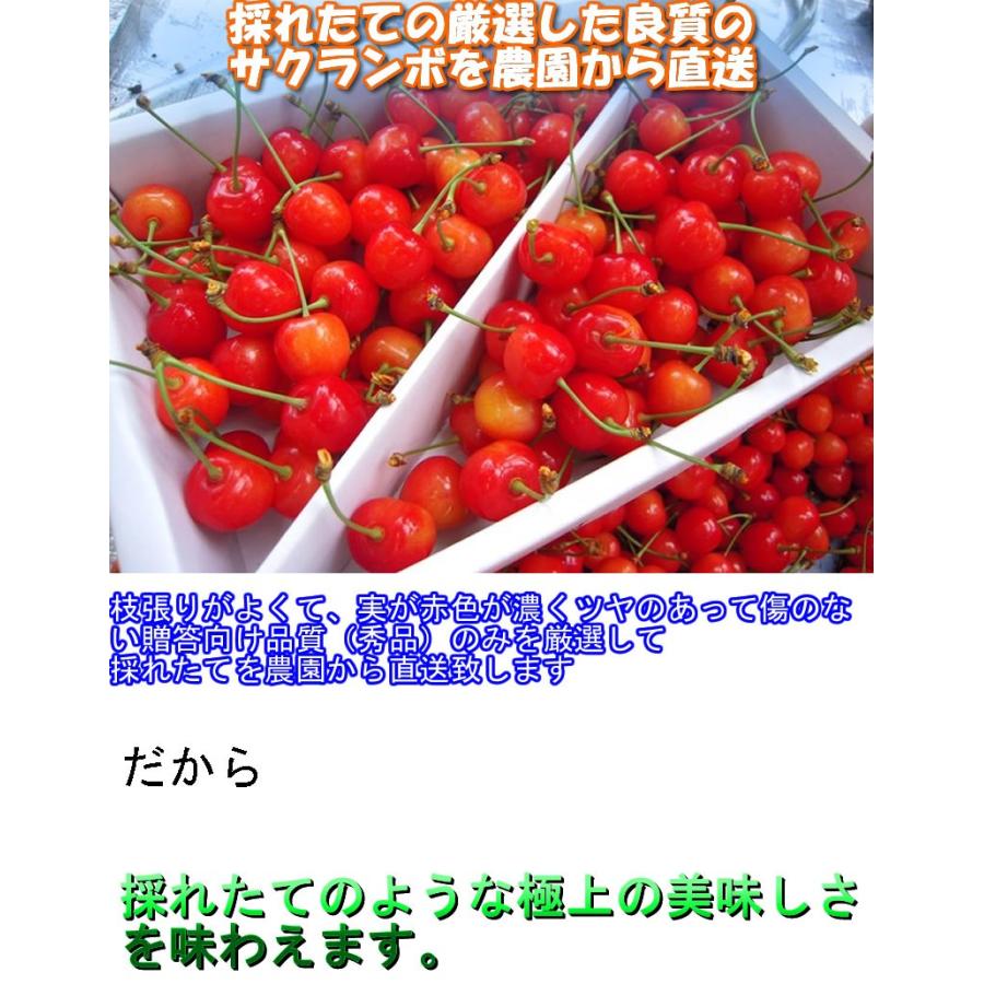 糖度24度 減農薬 山形 紅秀峰 爆売り! さくらんぼ 1kg 500gパック×2 贈答用 特秀 大粒2Lサイズ NN 産地直送 手詰め化粧箱入 糖度24度 減農薬 山形 紅秀峰 爆売り! さくらんぼ 1kg 500gパック×2 贈答用 特秀 大粒2Lサイズ NN 産地直送 手詰め化粧箱入