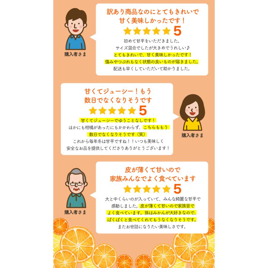 糖度15度 訳あり 減農薬 甘平 みかん 約3kg 愛媛 サイズ混合 産地直送