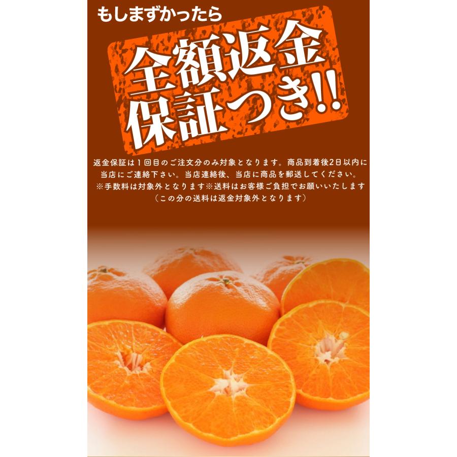 2027年2月分予約 糖度15度 減農薬 甘平 みかん 贈答用 約5kg 愛媛
