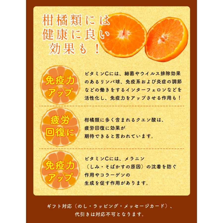 2027年2月分予約 糖度15度 減農薬 甘平 みかん 贈答用 約5kg 愛媛