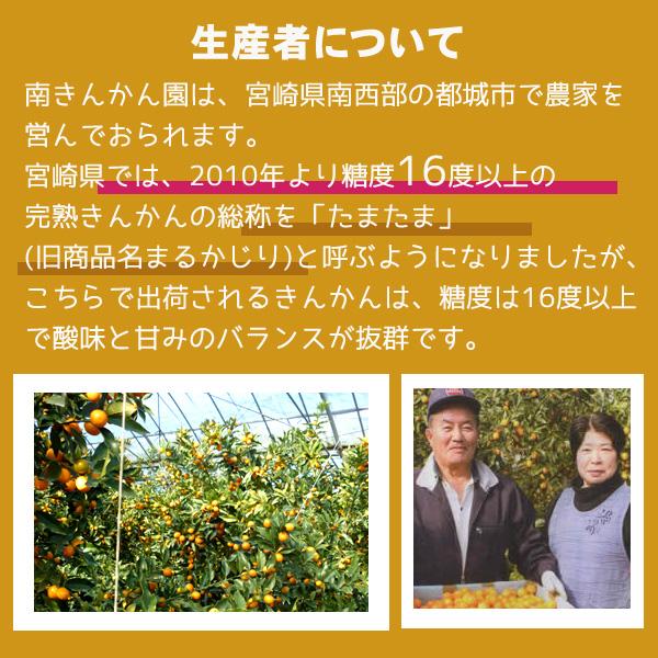 宮崎県産温室金柑　家庭用　3Ｌ　箱込み5キロ 宮崎県産 金柑（きんかん） 秀品 2L〜3Lサイズ 15パック入（箱