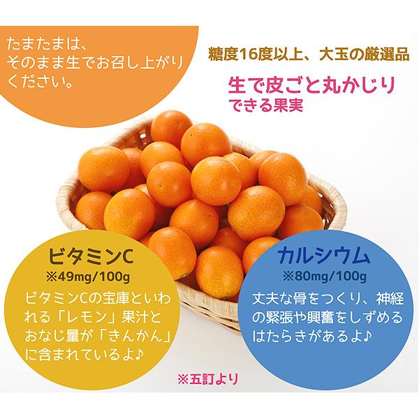 2027年1月分予約 最高糖度18度 減農薬 宮崎産 完熟 きんかん 金柑 3kg