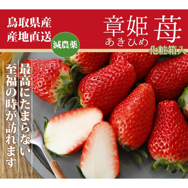 2026年分予約 減農薬 鳥取県産 章姫 苺 いちご 贈答用 大粒30 2026年分予約 減農薬 鳥取県産 章姫 苺 いちご 贈答用 大粒30