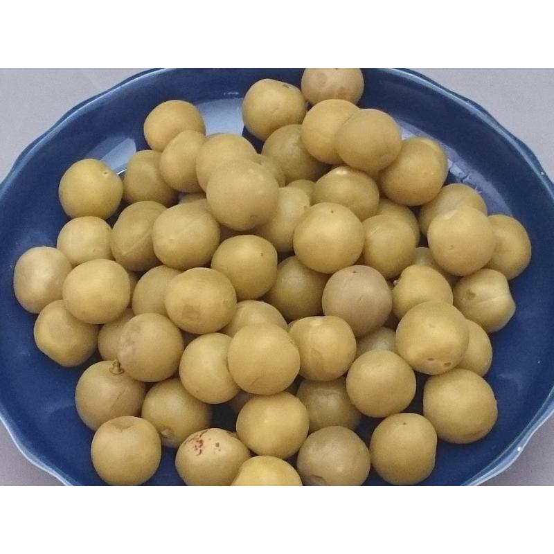 無着色 青いダイヤ 1kg Sサイズ 国産 カリカリ梅 小梅漬け 小梅