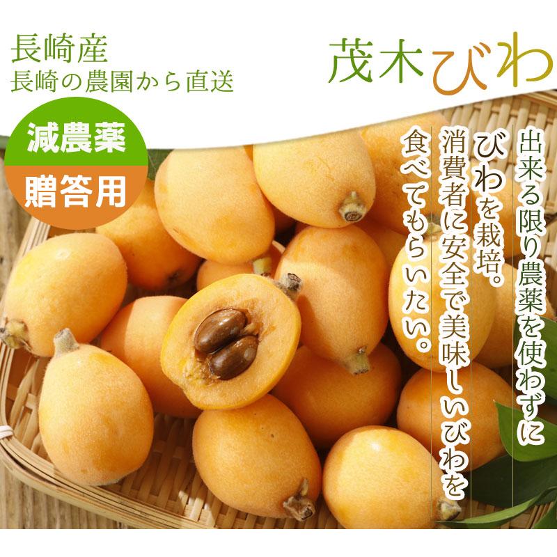 2026年5月分予約 減農薬 長崎産 茂木 びわ 約1kg 贈答用 Mサイズ 30玉
