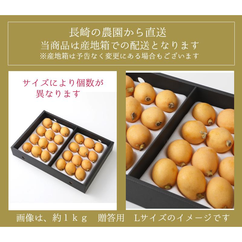2026年5月分予約 減農薬 長崎産 茂木 びわ 約1kg 贈答用 Mサイズ 30玉