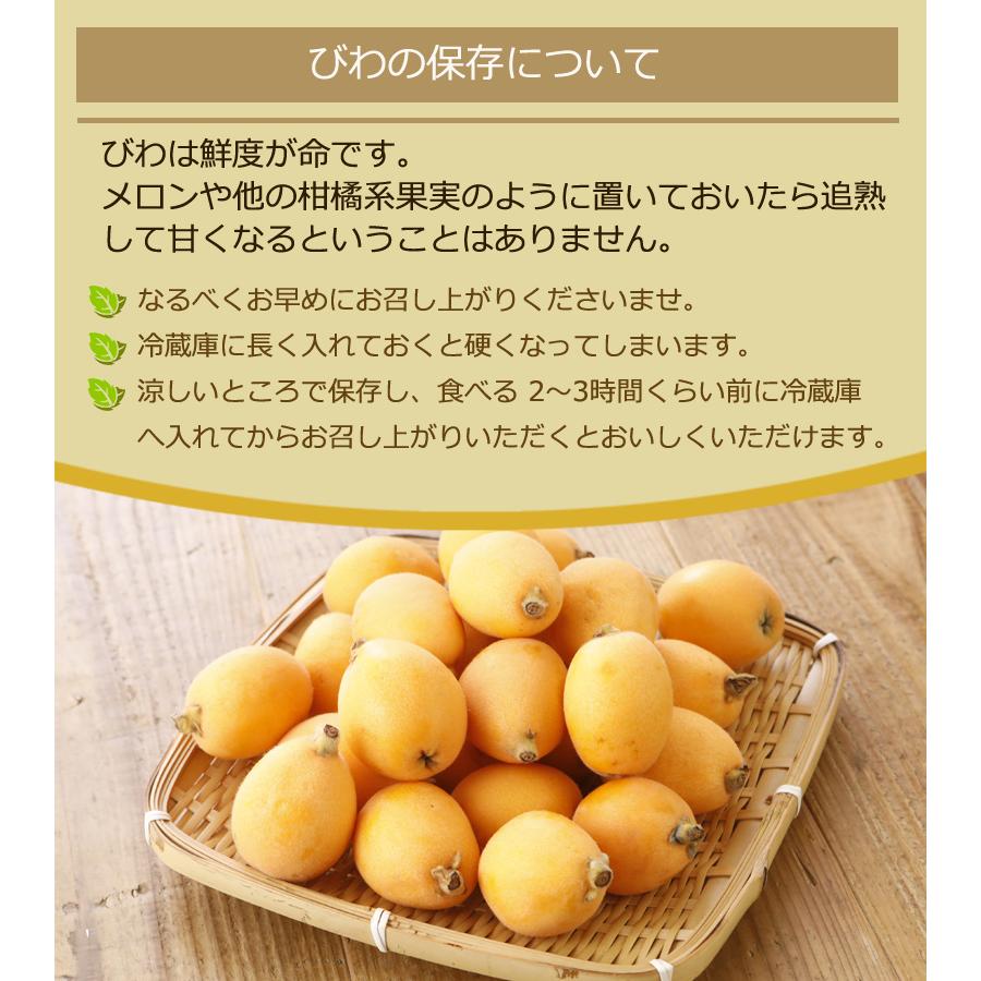 2026年5月分予約 減農薬 長崎産 茂木 びわ 約1kg 贈答用 Mサイズ 30玉