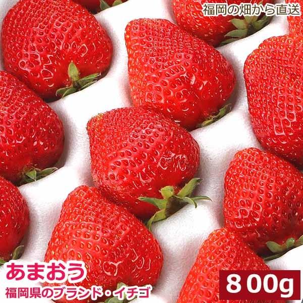低農薬 福岡 あまおう 苺 いちご 贈答用 800g 大粒24〜32玉 化粧箱入 産地直送 ama * ふるさと納税 ではありません